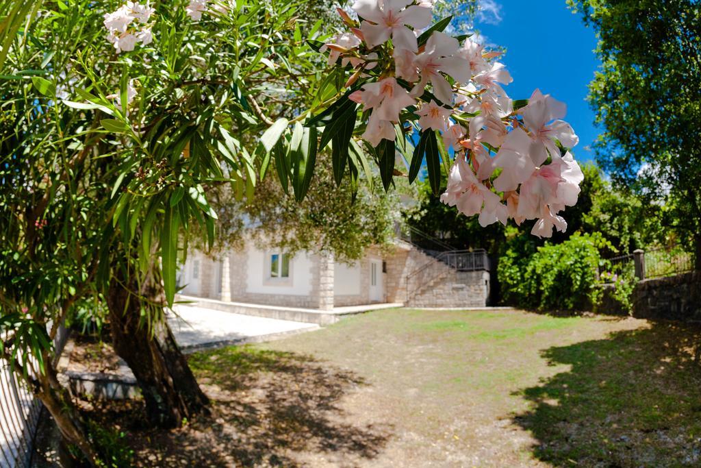 Olive Tree Villa แฮร์เซ็ก-โนวี ภายนอก รูปภาพ